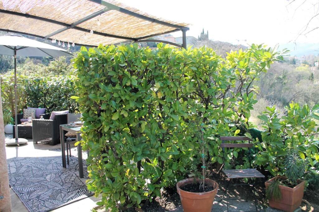 Charmant 2 Pieces + Terrasse Entoure De Verdure Vence Luaran gambar